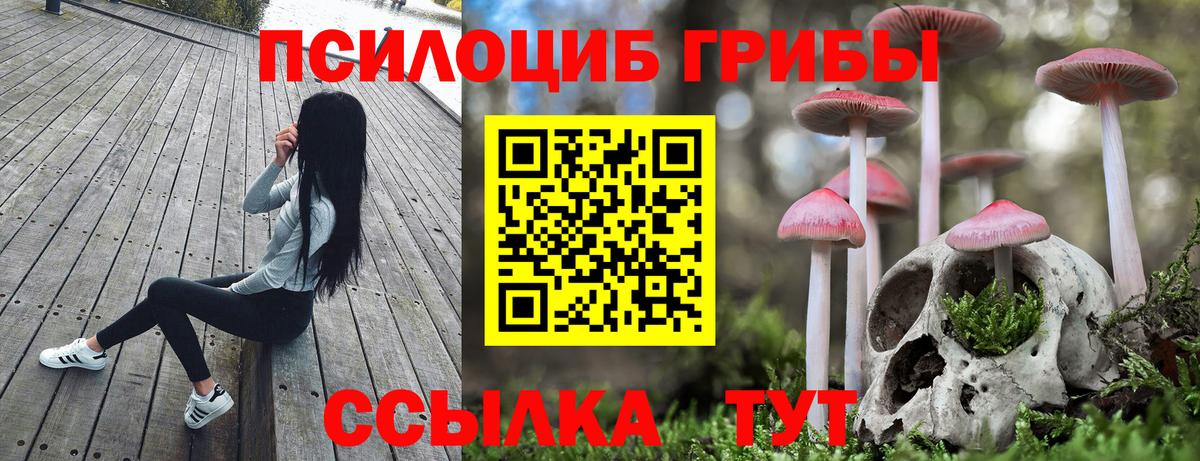 Псилоцибиновые грибы мухоморы  Вход с VPN  Большой Камень 