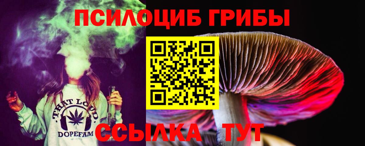 Галлюциногенные грибы GOLDEN TEACHER Большой Камень